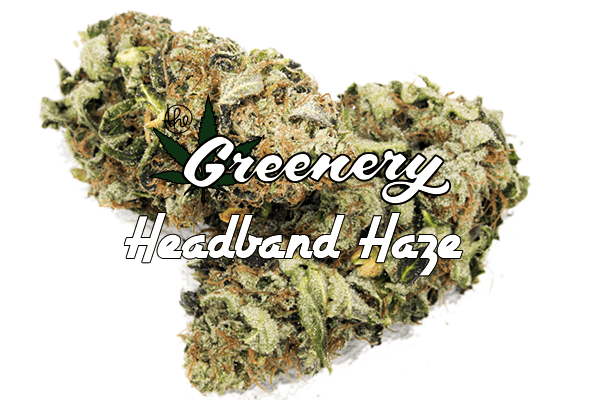 Headband Haze Marijuana strain Durango CO