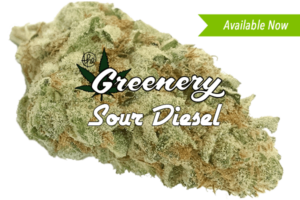 Marijuana Strains - Sour Diesel- Durango CO