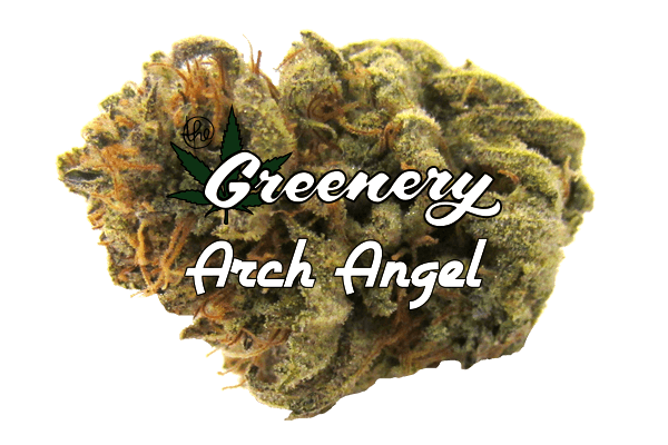 Arch Angel Durango CO