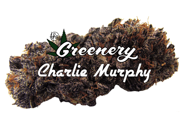 Charlie Murphy marijuana strain Durango CO