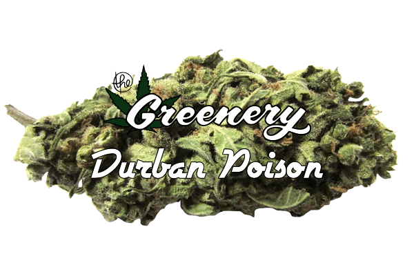 Durban Poison | Durango CO
