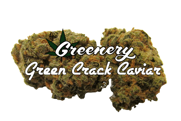 Green Crack Caviar Marijuana strain Durango CO