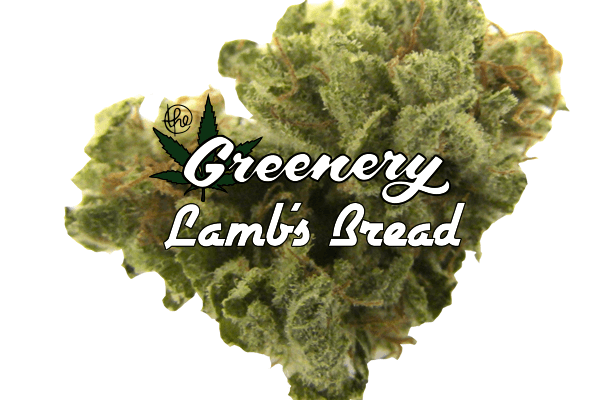 Lambs Bread Marijuana strain Durango CO