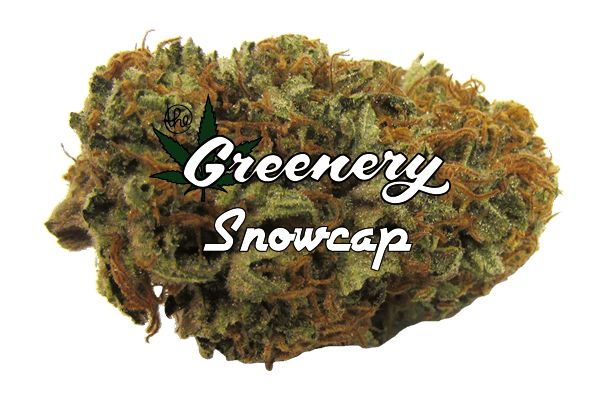 Snowcap marijuana strain Durango CO