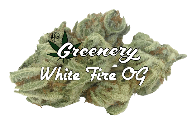White Fire OG marijuana strain Durango CO