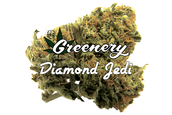 Diamond Jedi | Durango CO
