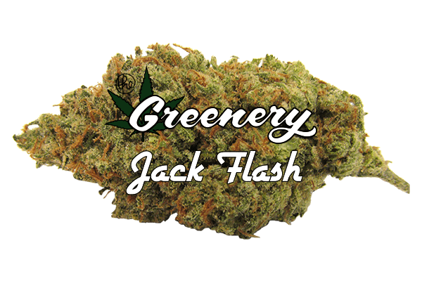 Jack Flash | Durango CO