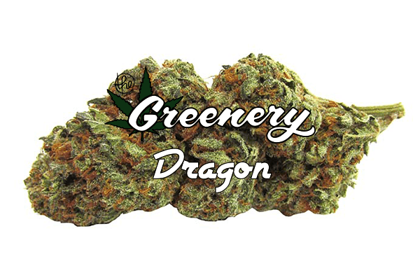Dragon | Durango CO