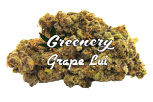 Marijuana Strains - Grape Lui - Durango CO