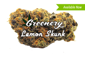 Marijuana Strains - Lemon Skunk - Durango Co