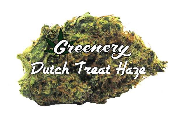 Marijuana Strain - Dutch Treat Haze - Durango CO