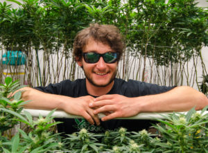 The Greenery Grow, marijuana grow, cannabis, cultivation, Indiana Bubblegum, Pakistani Chitral Kush, Durango weed